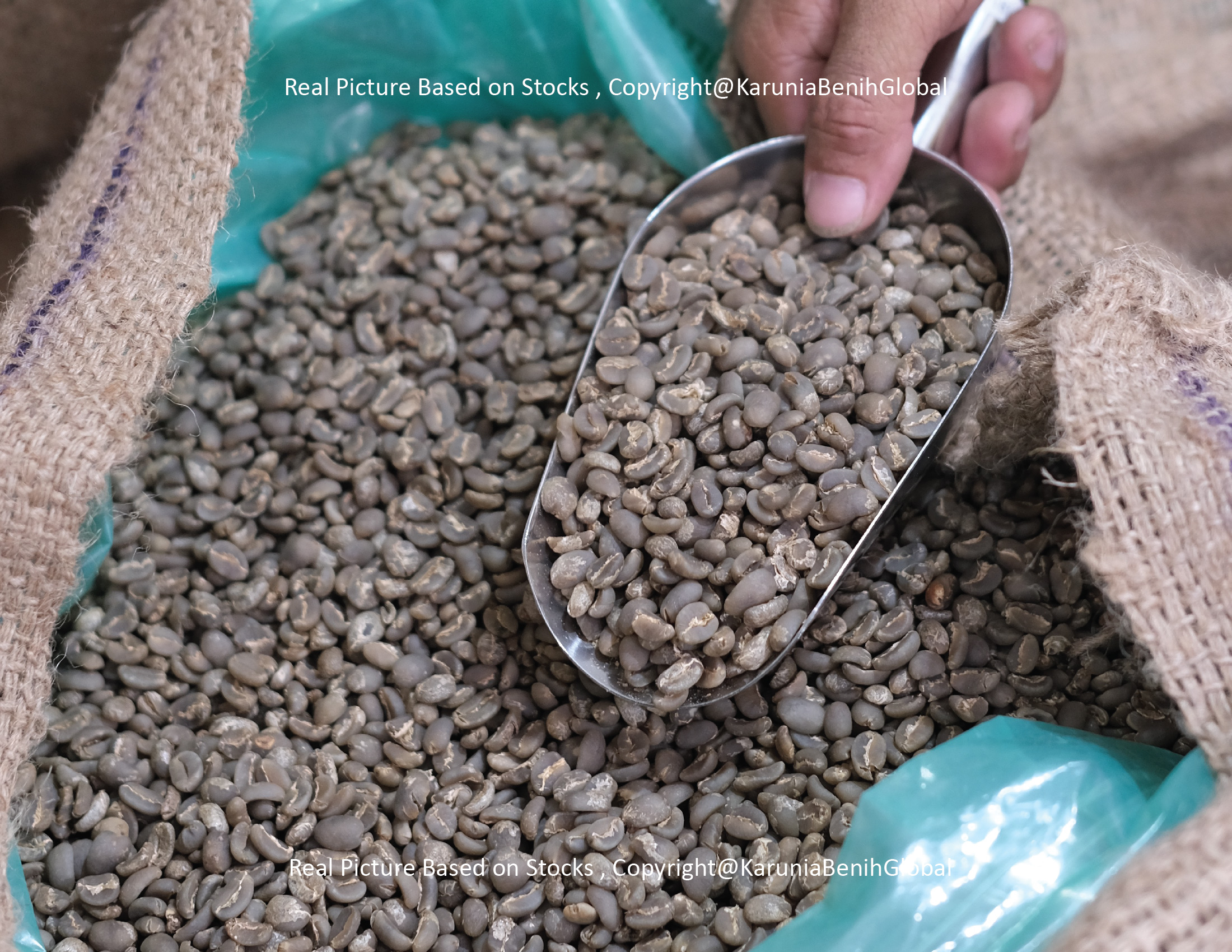 Kopi Sumatra