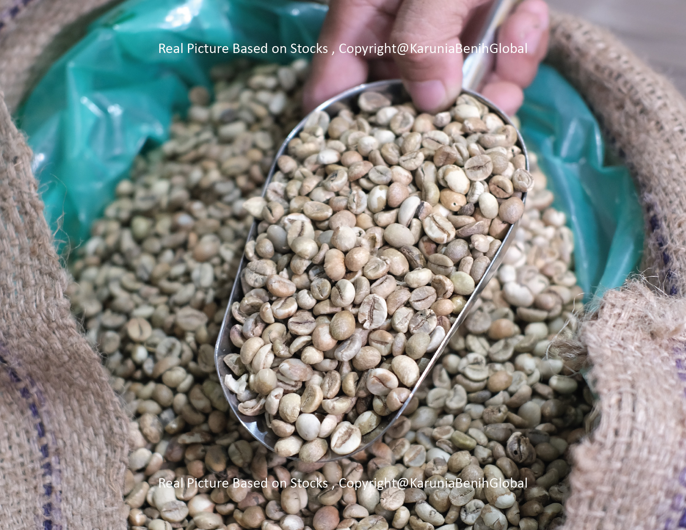 Kopi Sumatra