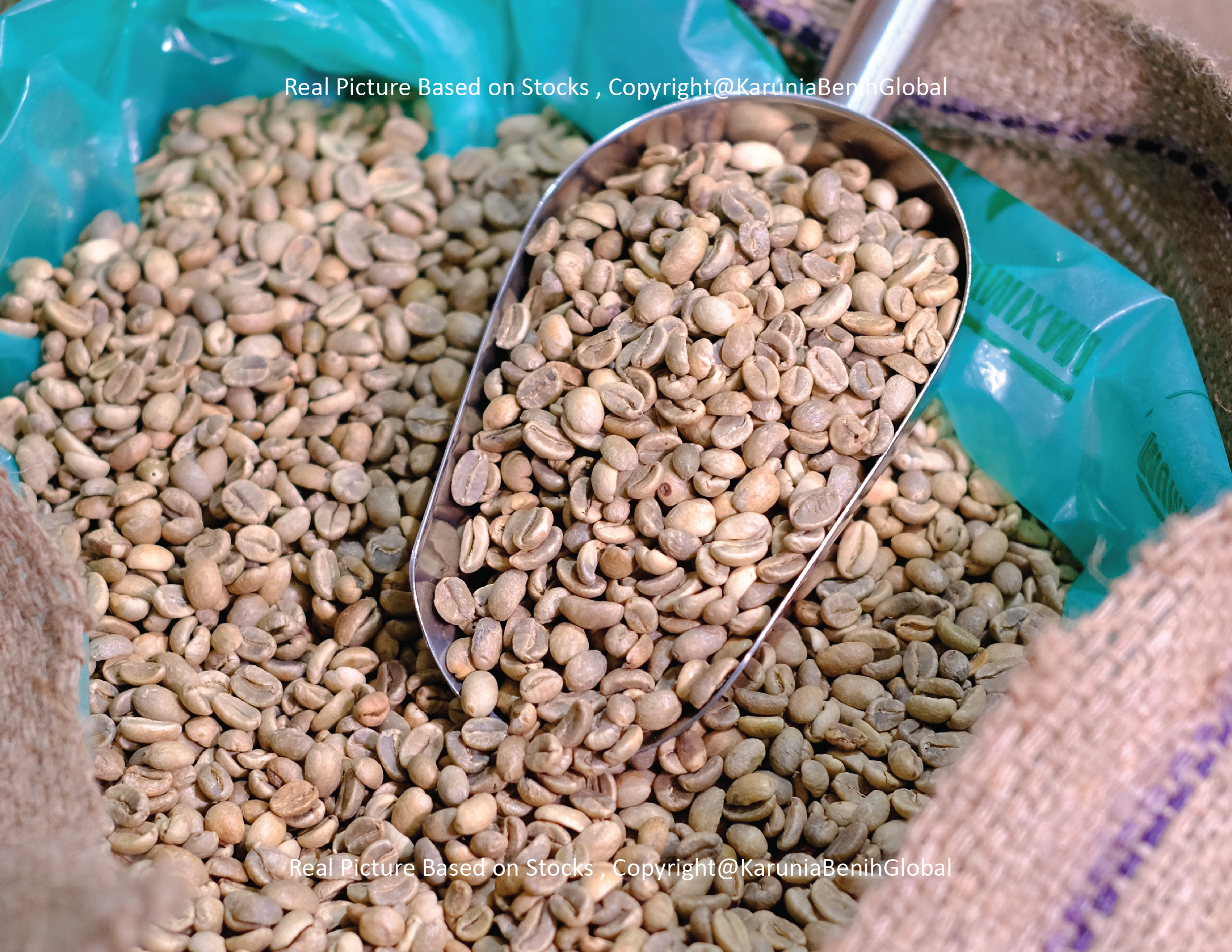Kopi Eastern Indonesia