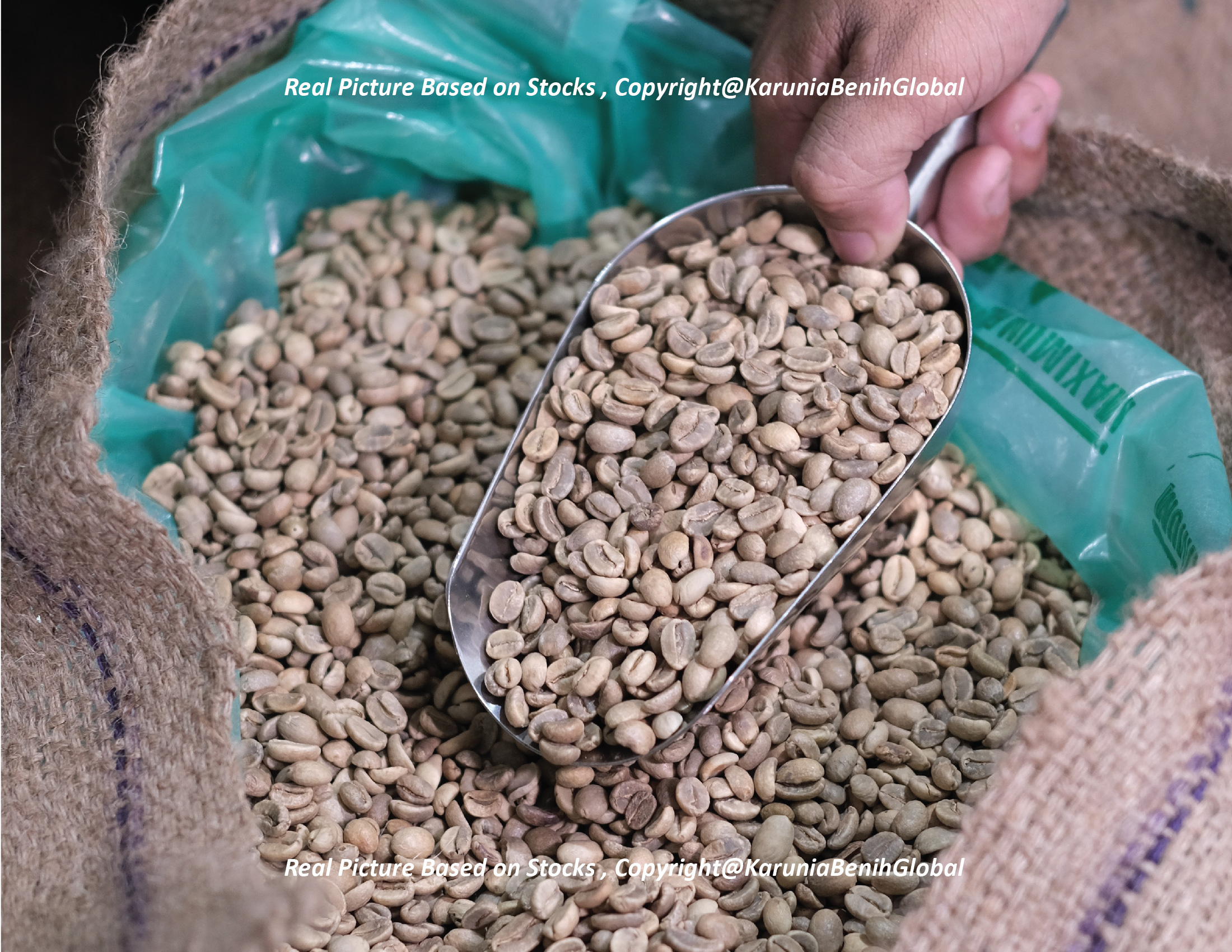 Kopi North Toraja