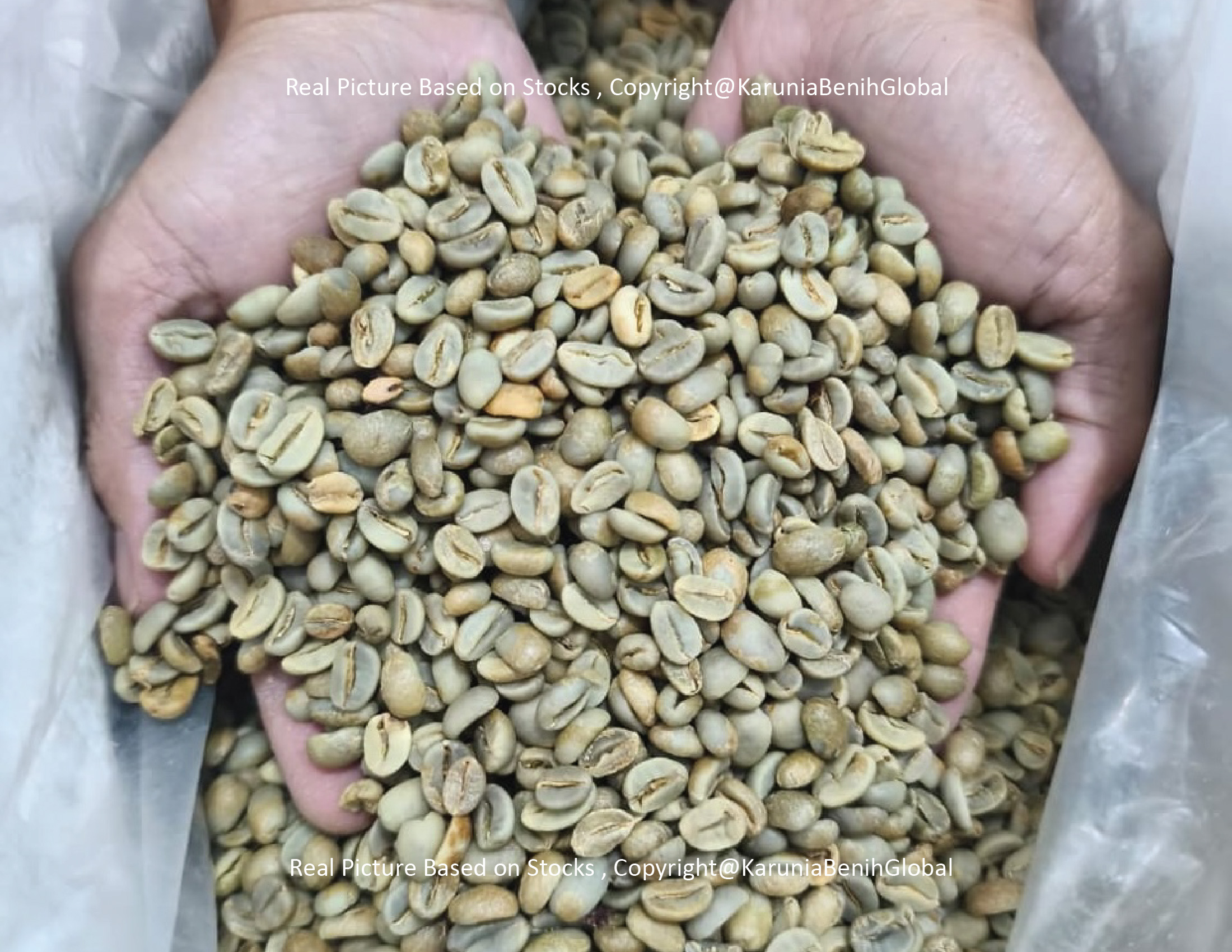 Kopi West Java 